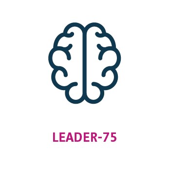 Brain Icon Brain Icon